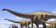 Диплодок — гигантский травоядный динозавр